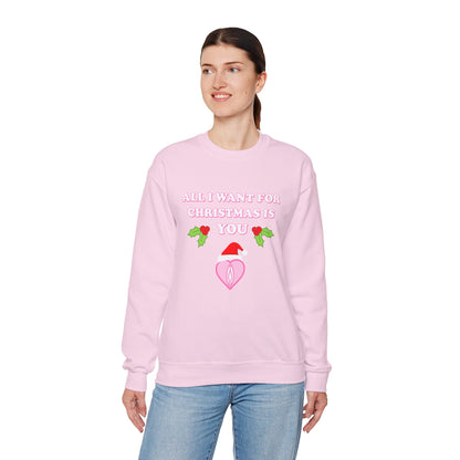 All I Want For Christmas is You (Christmas Sweatshirt)