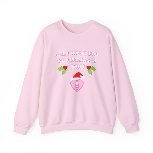 All I Want For Christmas is You (Christmas Sweatshirt)